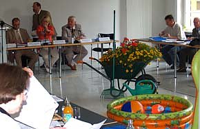 Bild: Baden im Stadtrat