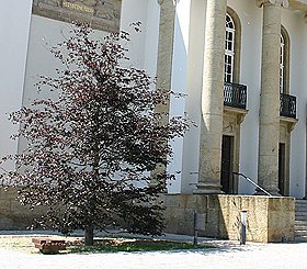 Bild: Die dritte Auflage