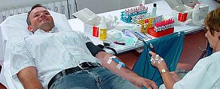 Bild: Eine feste (Blut)bank