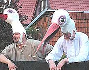 Bild: Storchentanz und Zauberspuk 