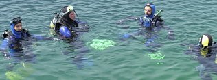 Bild: Neptuns Erben