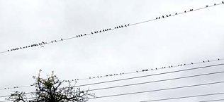 Bild: Das nnz-Leserfoto: Abschied