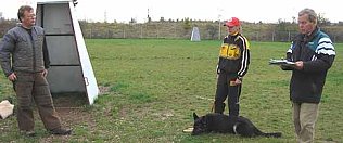 Bild: Jugendpower im Hundesport