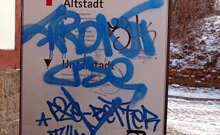 Bild: nnz-Leser-Foto: Arbeit vernichtet (2)