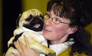 Bild: nnz-Galerie: Nordhausen sucht den Hunde-Star