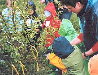 Bild: Fr&uuml;chte soll er tragen
