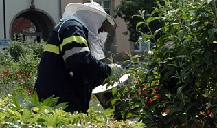 Bild: Kein normaler Einsatz