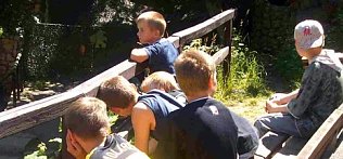 Bild: nnz-Leserforum: W&ouml;lfe, B&auml;ren, Fu&szlig;ballkinder