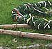 Bild: Nnz-r&uuml;ckspiegel: T&uuml;te, Baum und Schau