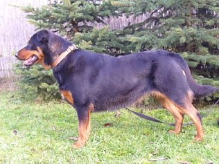 Bild: Lucy