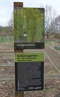 Besuch in Dessau (Foto: B. Schwarzberg)