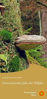 Jahr des Waldes (Foto: Nationalpark Harz)