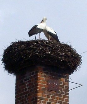 Ein Paar (Foto: Junker)