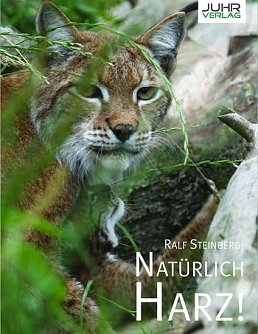 Covertitel (Foto: Verlag)