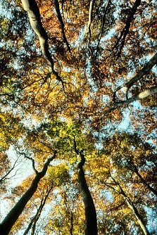 Ab ins Hainholz (Foto: privat)