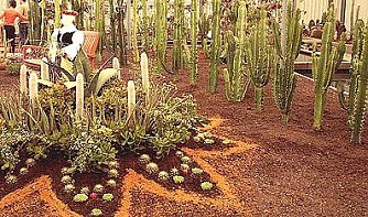 Stacheln aus dem Computer (Foto: nnz)