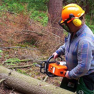 Im Kampf gegen Borkenk&auml;fer (Foto: nnz)