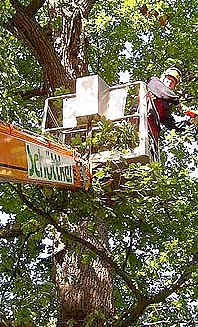 In luftiger H&ouml;he (Foto: nnz)