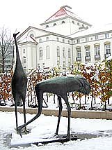 nnz-Kurz-News am Freitag (Foto: nnz)