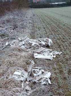 Umwelt wird verschmutzt (Foto: privat)