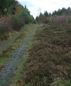 Grenzwanderung (Foto: A. Richter)