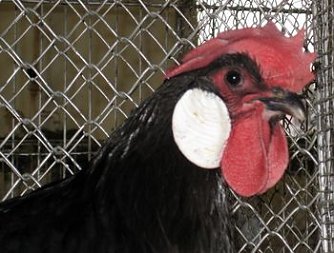 Ausgestellt (Foto: privat)