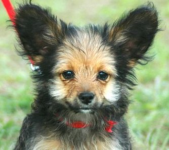 Bin ich der Sch&ouml;nste? (Foto: Agentur)