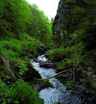 Steinm&uuml;hlental (Foto: Naturpark S&uuml;dharz)