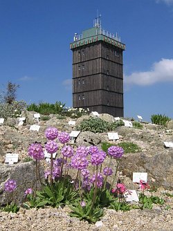 Der Brockengarten (Foto: Dr. Gunter Karste)