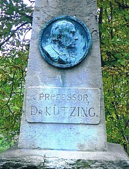 K&uuml;tzingdenkmal im Gehege (Foto: Archiv Kneffel)