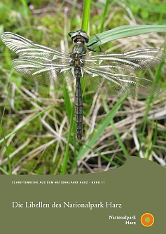 M&auml;nnchen der Alpen-Smaragdlibelle, einer Art f&uuml;r deren Erhalt der Nationalpark Harz eine besondere Verantwortung tr&auml;gt (Foto: Dr. Kathrin Baumann)