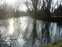 Natur und Geschichte gibt es wieder bei der Sonntagswanderung (Foto: Firouz Vladi)