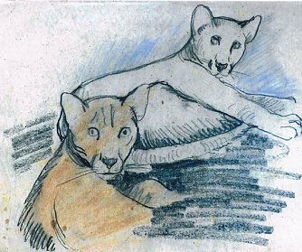 Mehr von Knust's Kunst: in der Dichterst&auml;tte Sarah Kirsch in Limlingerode (Foto: Heidelore Kneffel)