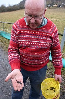 Tierschutz (Foto: pln/Piper)
