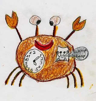 Krabbenkuckucksuhr (Foto: nnz)