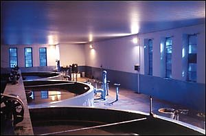 Das Geld ist da (Foto: nnz)