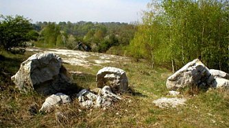 Gute Nachricht f&uuml;r die Natur (Foto: nnz)