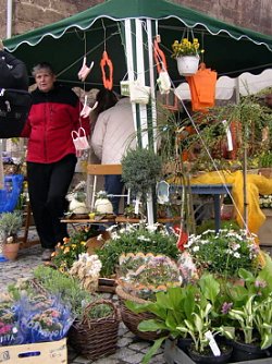 Fr&uuml;hling auf dem Markt (Foto: nnz)