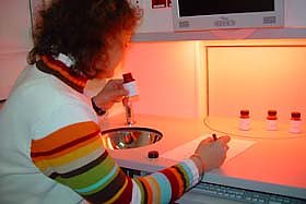 Sp&uuml;rnasen gesucht (Foto: nnz)