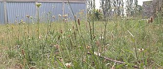 Spenden-Marathon (Foto: nnz)