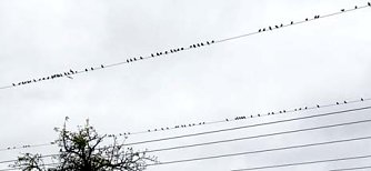 Das nnz-Leserfoto: Abschied (Foto: nnz)