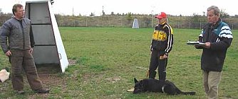 Jugendpower im Hundesport (Foto: nnz)