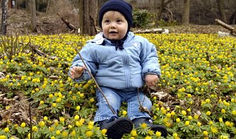 Geliebter Park Hohenrode (Foto: nnz)