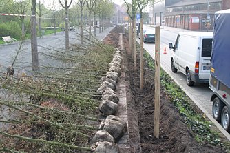 nnz-Foto des Tages: Nachgefragt (Foto: nnz)