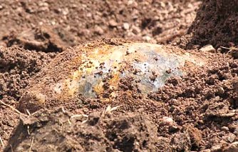 Jetzt wird es ernst (Foto: nnz)