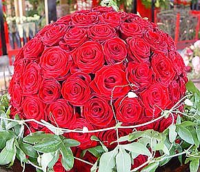 Nachwuchs ist gefordert (Foto: nnz)