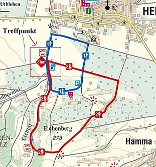 Nordisches Wandern in der Aue (Foto: nnz)