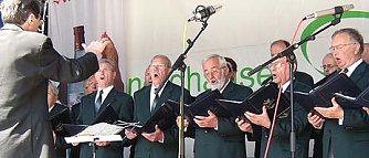 Goldene Kehlen auf dem Berg (Foto: nnz)