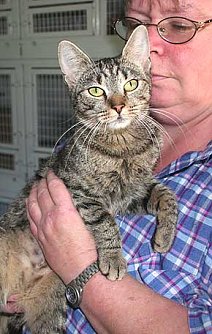 Tier sucht Mensch (22) (Foto: nnz)