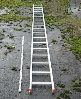 Leiter (Foto: Polizei)